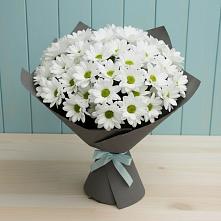 Букет цветов из:  Хризантемы #REPLACE_PRED# Ордынском