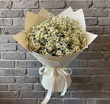 Букет цветов из:  Ромашки #REPLACE_PRED# Ордынском