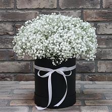 Цветочная композиция из Гипсофила в шляпной коробке в Ордынском