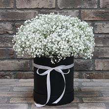 Цветочная композиция из Гипсофила в шляпной коробке в Ордынском